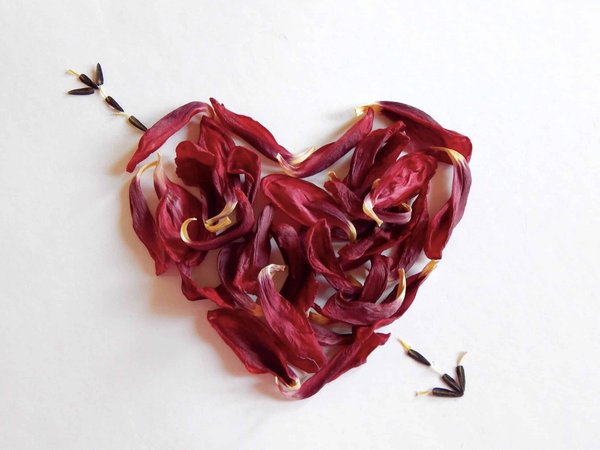 Comment rencontrer l'âme sœur à Marseille ?