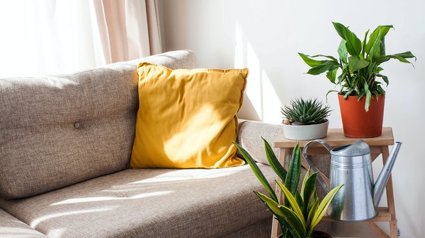 Suivre les tendances déco : mode passagère ou véritable art de vivre ?