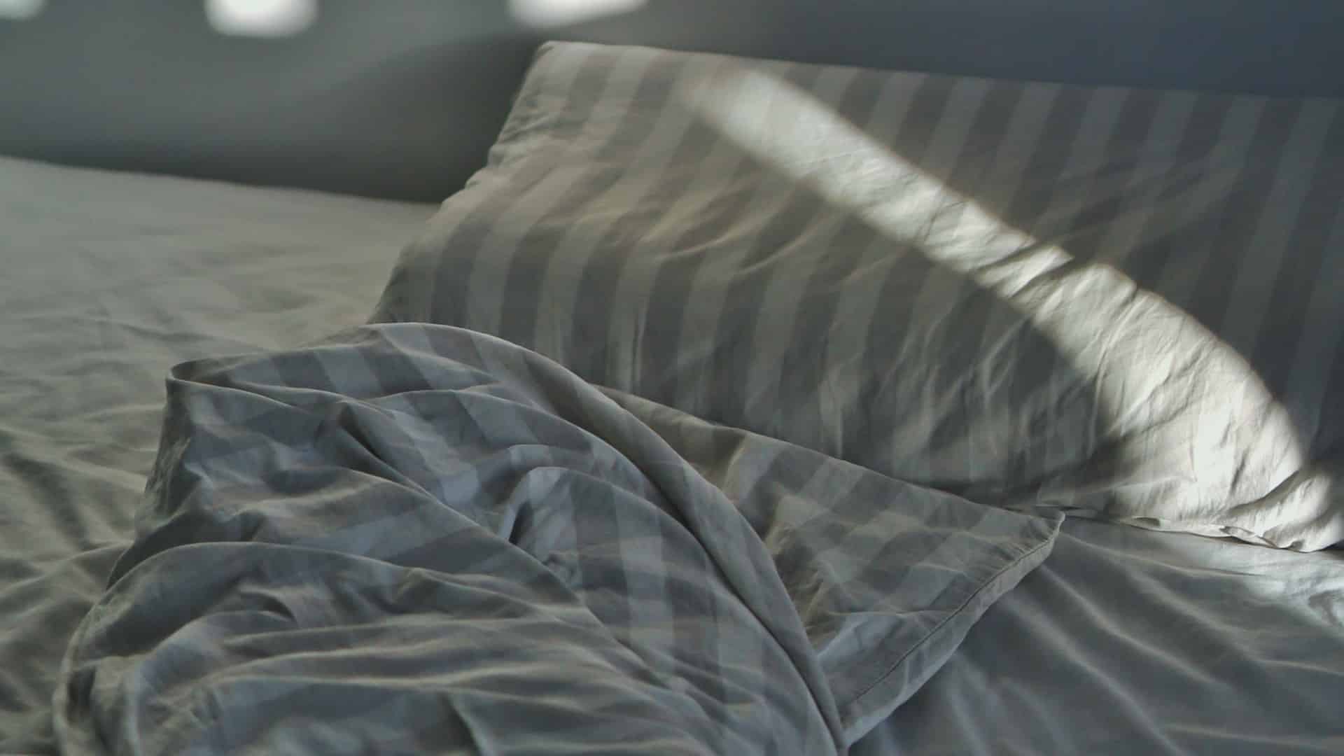 Les punaises de lit à Brest : comment être sûr de ne pas en avoir ?